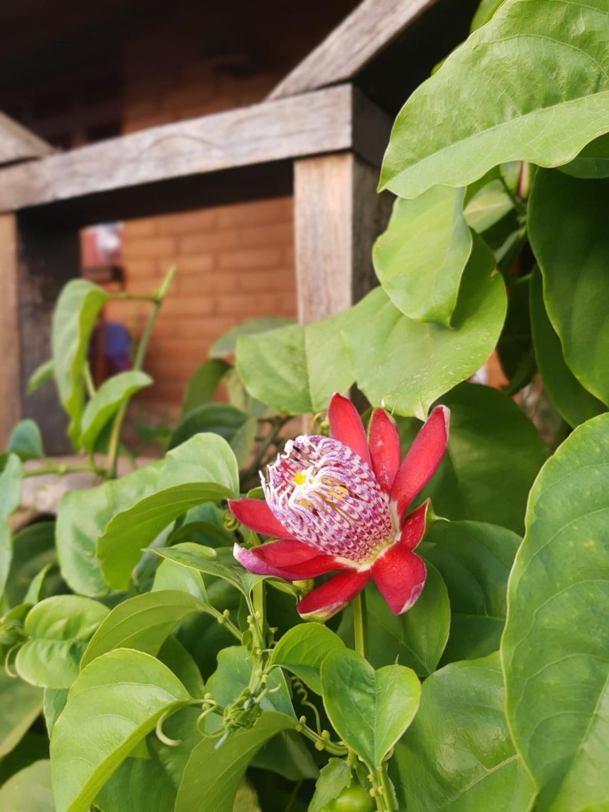 Huayapam Yu'U Lodge San Andrés Huayapan Kültér fotó